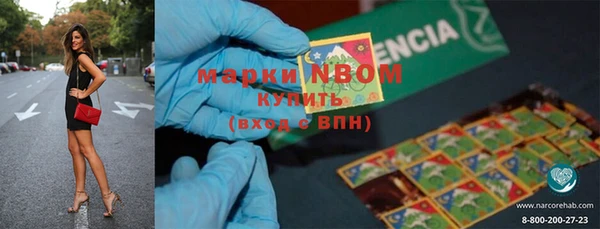 стаф Ступино