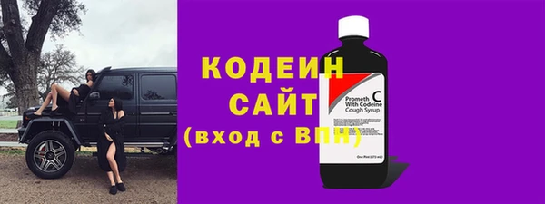 ПСИЛОЦИБИНОВЫЕ ГРИБЫ Арсеньев