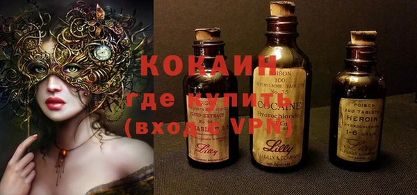 ПСИЛОЦИБИНОВЫЕ ГРИБЫ Арсеньев