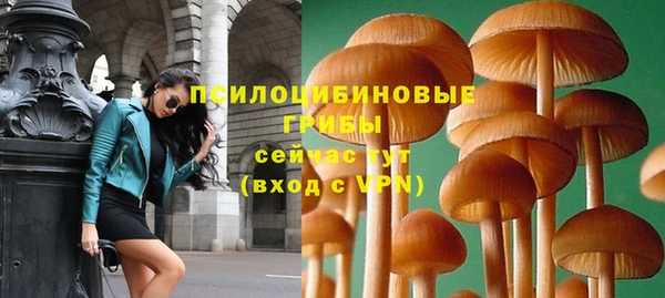 стаф Ступино